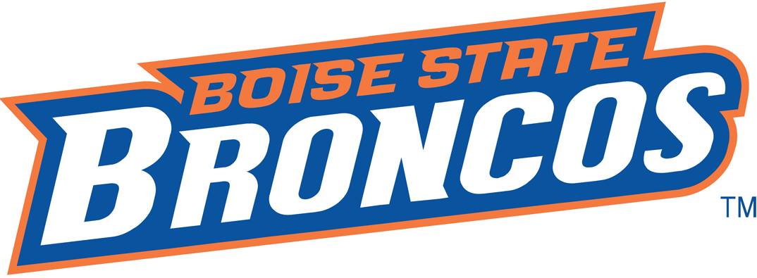 Boise State Broncos 2002-2012 Wordmark Logo iron on transfers for T-shirts